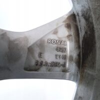 18176239699