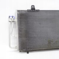 18176665618